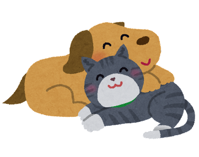 ペットとの暮らしを快適にするお家づくり♪